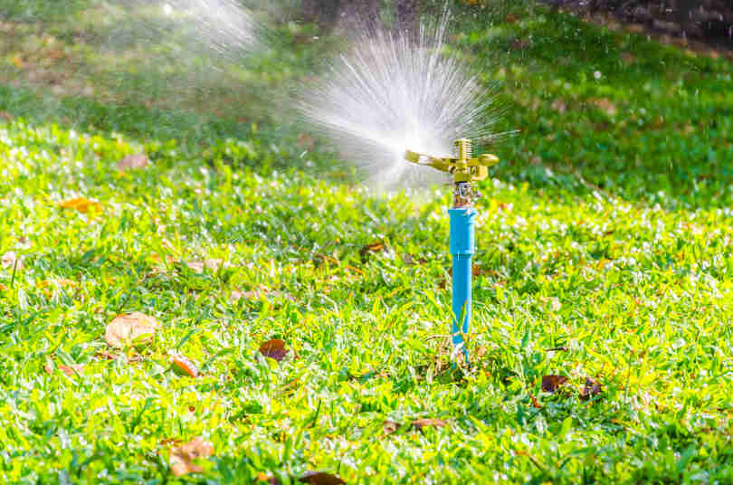 Sprinkler head watering in the lawn