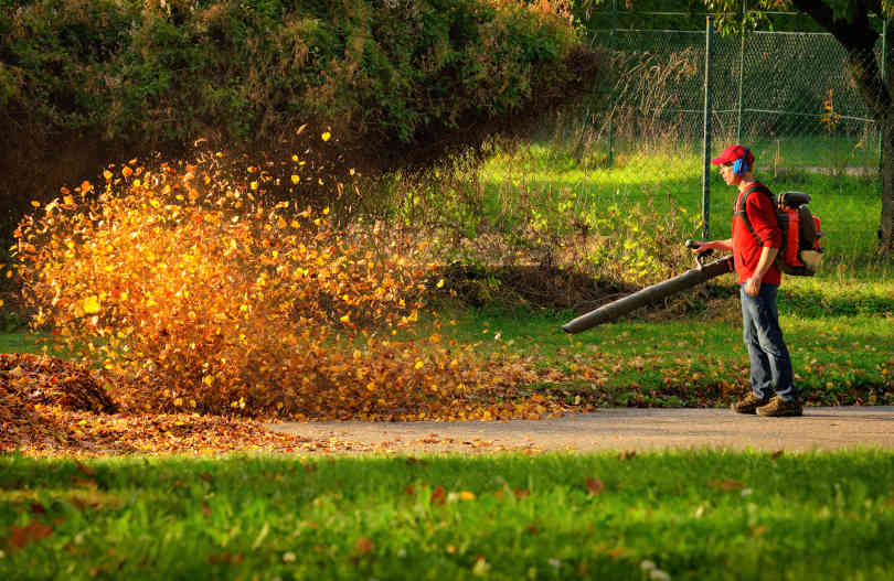 Man operating a heavy duty leaf blower; the leaves are being swirled up and glow in the pleasant sunlight