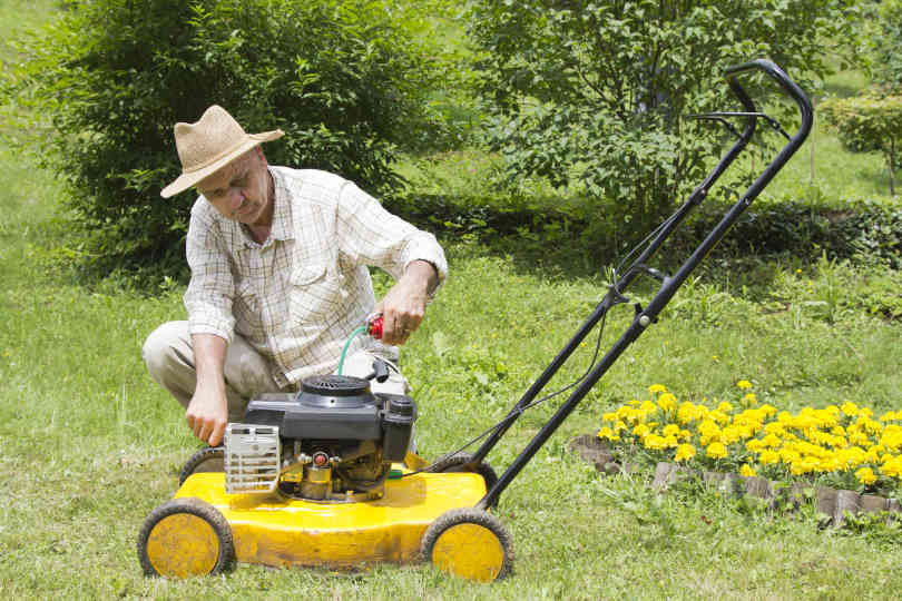 Gardener Oiling Lawn Mower in a Green Lawn