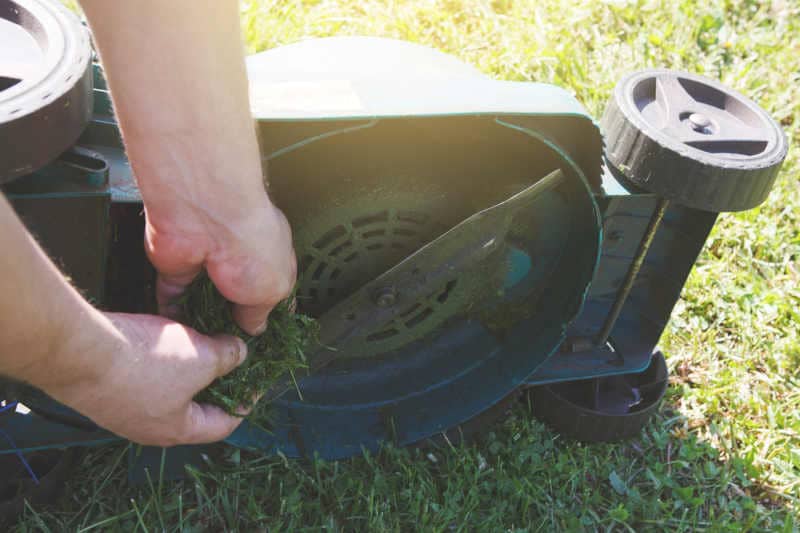 Cutting green grass electric lawn mower. The gardener cares for the device, cleans the blade of dirt.